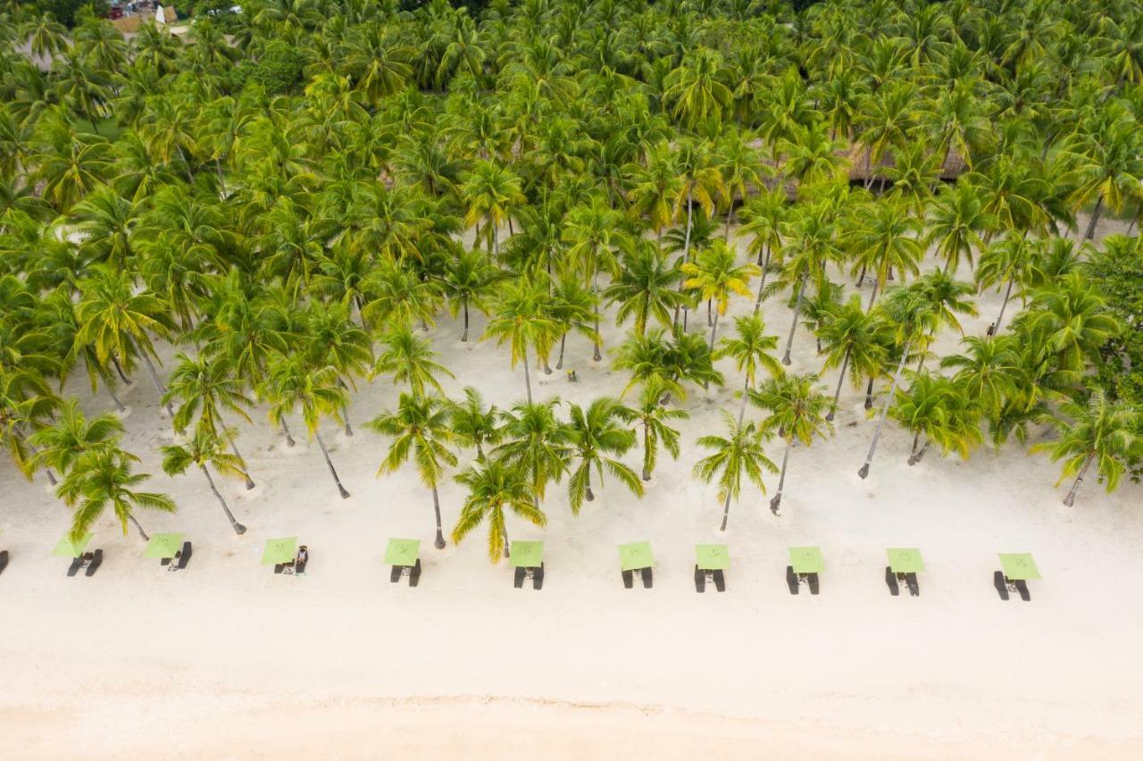 Oceanica Resort Panglao, Bohol Εξωτερικό φωτογραφία Palm trees on the beach