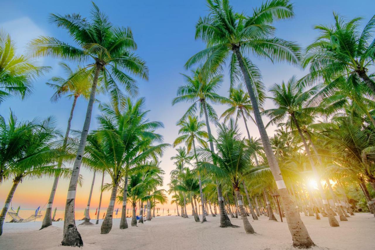 Oceanica Resort Panglao, Bohol Εξωτερικό φωτογραφία Palm trees on a beach