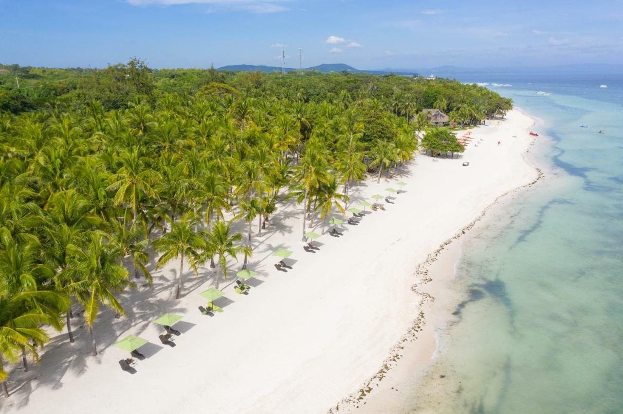 Oceanica Resort Panglao, Bohol Εξωτερικό φωτογραφία Aerial view of the beach